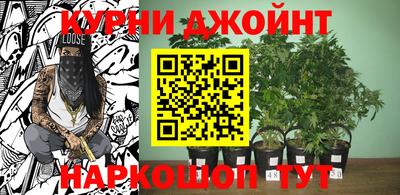 MDMA Новозыбков