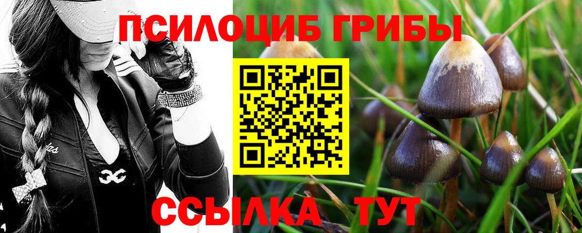 Россошь  Псилоцибиновые грибы мухоморы  Вход с VPN 