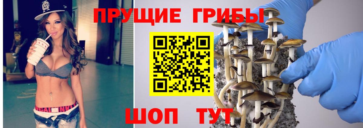 Галлюциногенные грибы мицелий Россошь